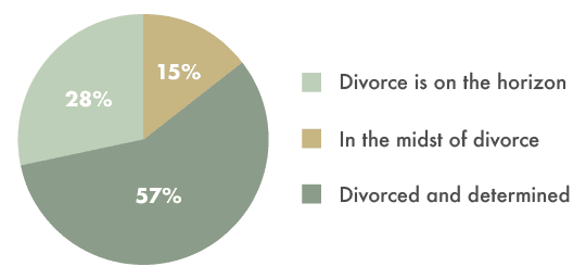 participants Stage of Divorce