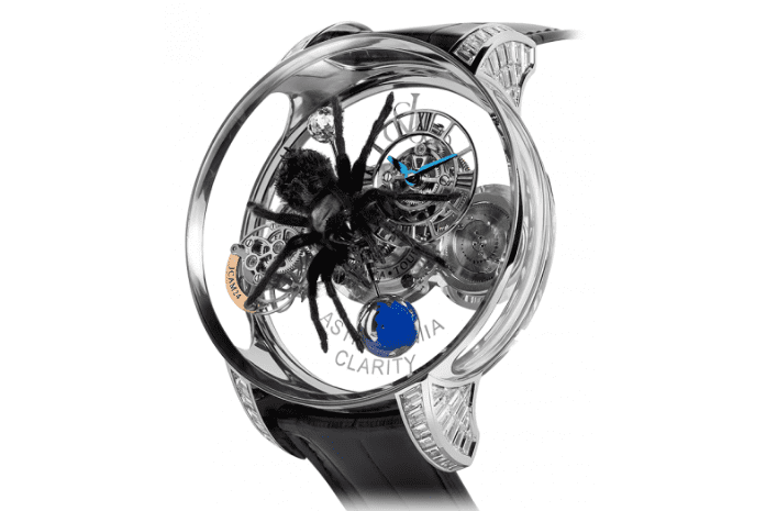 astronomia spider