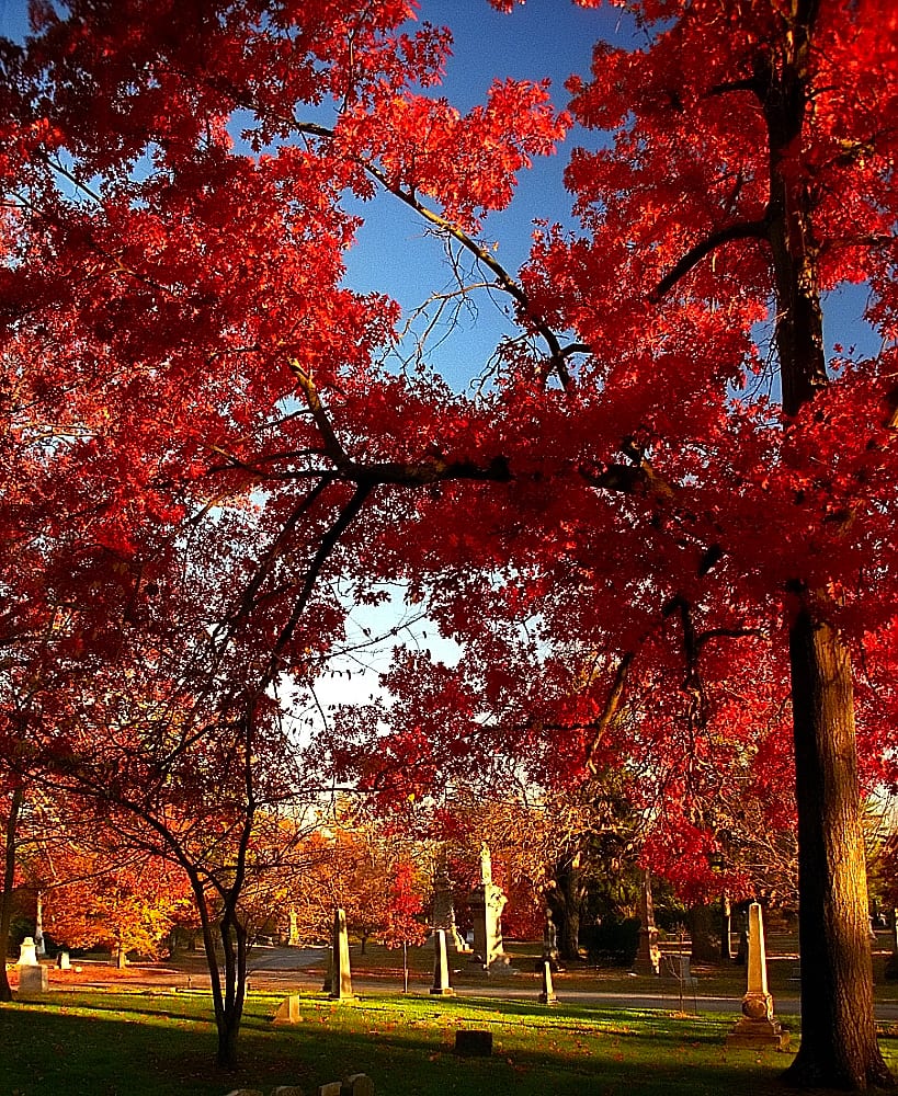 Spring Grove Cemetery & Arboretum